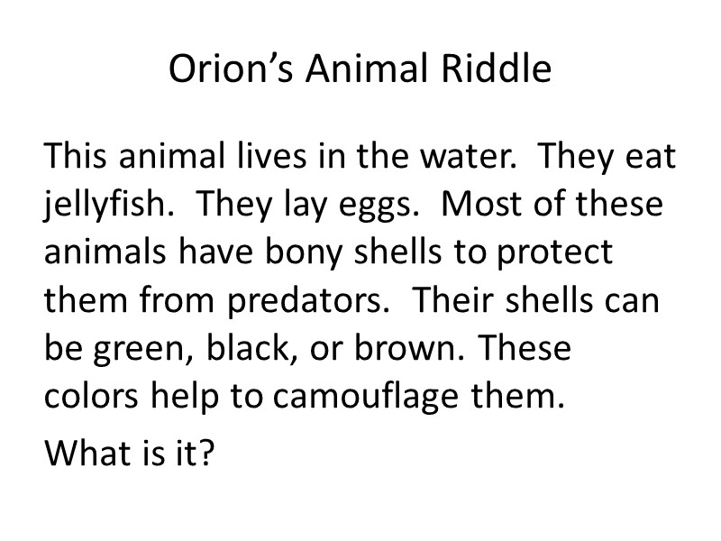 Orion’s Animal Riddle This animal lives in the water.  They eat jellyfish. 